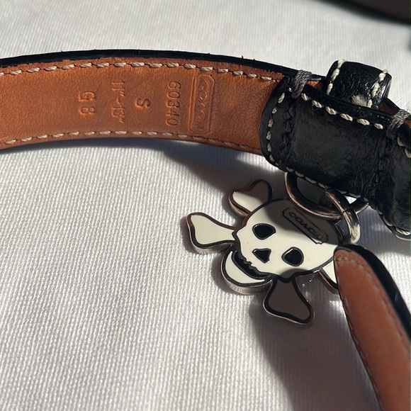 COACH Skull and Crossbones collar with original box and tags. - Picture 4 of 5